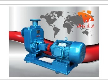 ���P��������۱�ZWP��